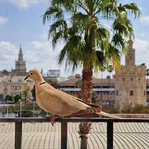 Betis Del Oro Сasa de vacaciones Sevilla